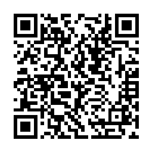 因为杨开在接下来的几日将神魂灵体遁入树干之中二维码生成