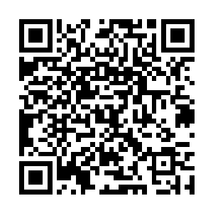 因为杨戬从上面发现了一些熟悉的而又陌生的迹象二维码生成