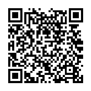 因为杨蜜不相信王杰能找到比自己还好看的女朋友二维码生成