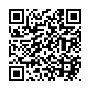 因为杨风你仅仅知道字面的意思罢了二维码生成