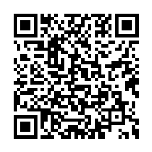 因为林烽给她发的短信说的是十一点正式开始的二维码生成