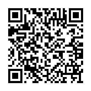 因为林锐等人两辆装甲车顶的炮手已经准备就绪二维码生成