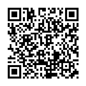 因为树干上面贴了一层完全由木粉磨出来的表皮二维码生成