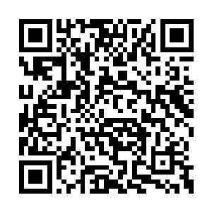 因为楚枫已然成为了他姜氏皇朝存亡的关键人物二维码生成
