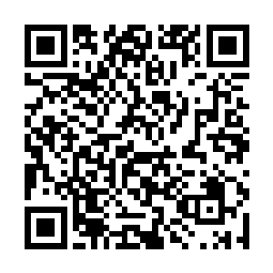 因为欧洲三大电影节不论是从血统还是从喜好上来说二维码生成