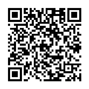 因为此刻为首的是一位留着满脸络腮胡的黑脸老头二维码生成
