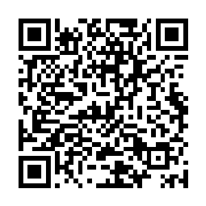 因为此刻在他们面前娇弱小姑娘身上只穿着一件小背心二维码生成