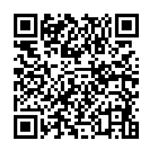 因为此刻挡住他这全力一斩的并不是什么神兵利器二维码生成