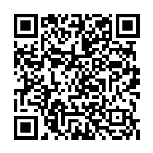 因为此刻雷大主任所有的心思都已经被吸引住了二维码生成