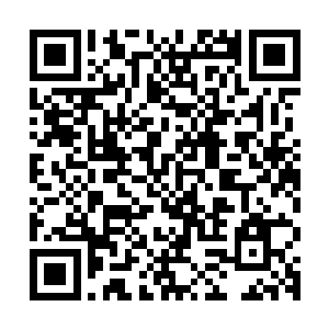 因为此时不远处的西门吹雪在听到星文的问题后瞬间便抬起了头二维码生成