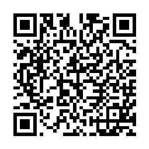 因为此时他的注意力基本上都集中到了这五百多个乾坤袋中二维码生成