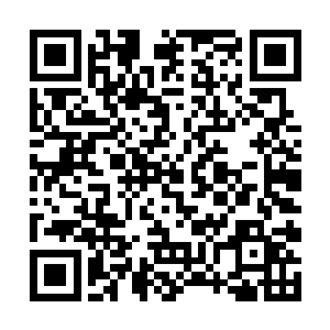 因为此时的雷林已经符合了所有真神应该符合的条件二维码生成