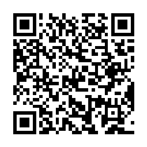 因为此时龙傲天两个人并没有发现什么九品圣药的踪迹二维码生成