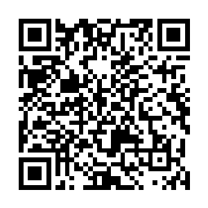 因为此时龙傲天也知道自己的修为已经进入到了一个瓶颈二维码生成