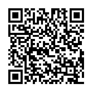 因为每次使用都会损耗大量仙力和仙人本身的精力心血二维码生成
