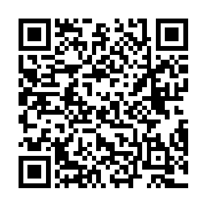 因为每次都是随机传送所以我也好几十年没来过这里了二维码生成