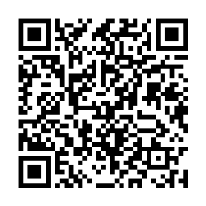 因为池佳一不敢保证自己被这枪上的金光刺中之后二维码生成