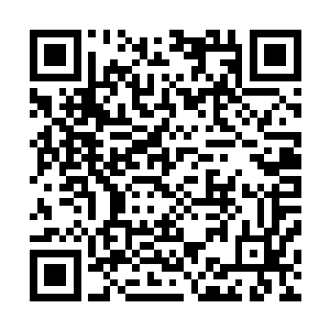 因为沃尔夫冈将军打的主意就是只让高扬练这帮新兵一个月二维码生成