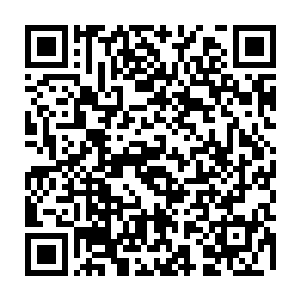 因为沒有人想的到赵纯良会这么早放弃寻宝 回到佣兵之前挑战至强兵峰二维码生成