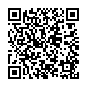 因为泪水而迷蒙的视线中是一个白晃晃的事物……是二维码生成