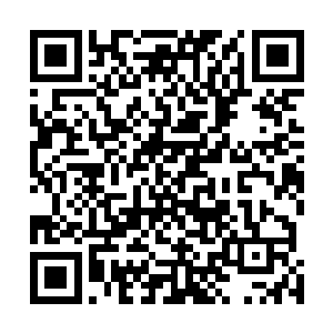 因为海崖联盟在毒沙漠的东面和南面都设置了各种明暗哨二维码生成