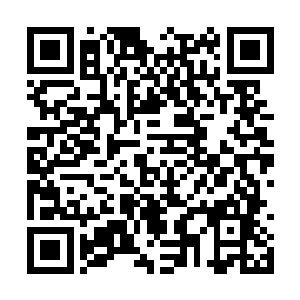 因为海族的实力在整体上就要远远的强过天元大陆二维码生成