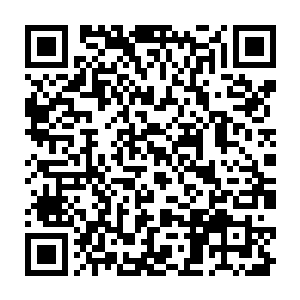 因为海龟的四肢是利于划水的鳍啊而囡囡手上抓着的这一只很明显的是四只小脚二维码生成