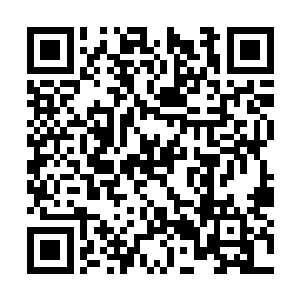 因为涉及战场的双方都是被各自异次元承认的高层二维码生成