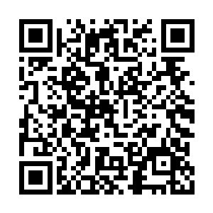 因为温桥府府令和统领大人也就玄气期玄仙而已二维码生成