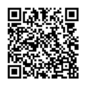 因为湿润的原因两边的杂草和树木显得特别茂盛二维码生成