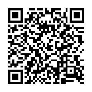 因为灼照幽莹的力量与龙族的血脉之力从根本上来说二维码生成