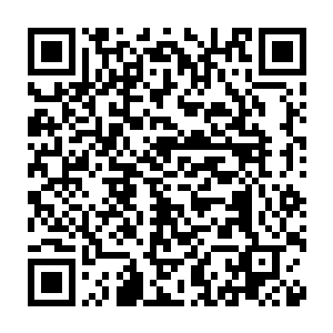 因为炼药都嫌它的品级太低了………但是眼前的这一株七叶灵芝草二维码生成