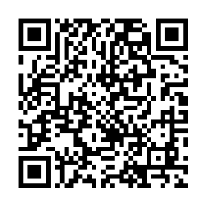 因为玄天岛的天阶长老们无法妥协由谁带人或者派人进入二维码生成