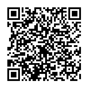 因为王伯伯电话里话里话外都透露着想要和秦先生见一面表示感谢的机会二维码生成