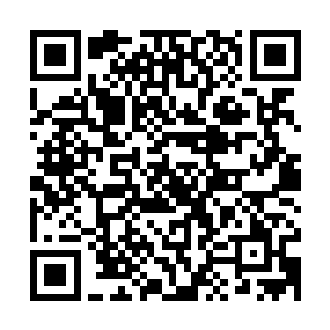 因为王破今日在战局里展现出来的强大意志与远超年龄的战斗力二维码生成