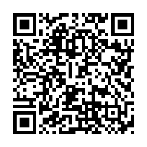 因为现在某人的修为已经胜过了君应怜太多太多二维码生成