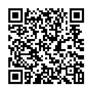 因为现在社会传出太多关于学校学生被砍被伤的事情二维码生成