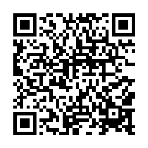 因为现实中很少有人会用这种本力来梳理我身上的筋骨二维码生成