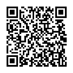 因为玲玲姐现在为天道打理着声音每天都会很累二维码生成