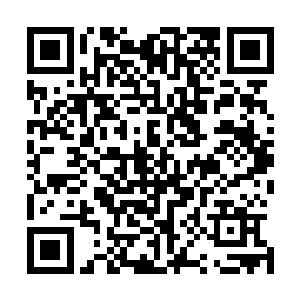 因为电视上从头到尾只有裴文明一个人在和那些女孩子欢乐二维码生成