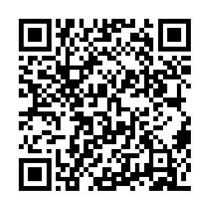 因为男人为她揉着她头顶的大手再次加重了力道二维码生成