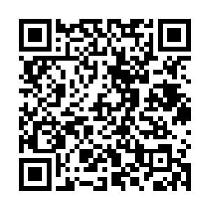 因为疼爱并不足以成为自己将来的时候成家立业的资本二维码生成