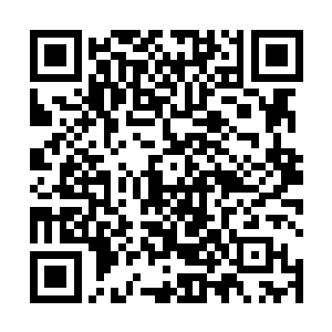 因为瘟疫使者已经在一些可怜的家伙身上播种了黑蠕虫二维码生成