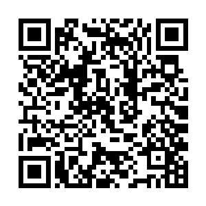 因为白泽大人除了是超级强大的君主巅峰的强者之外二维码生成