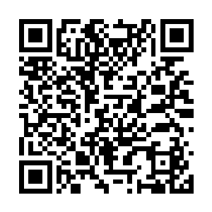 因为皇家每届都有一个不需要测试就能入学的名额二维码生成