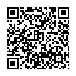 因为皮亚对于黑魔鬼的解散是最无法接受的那个人二维码生成