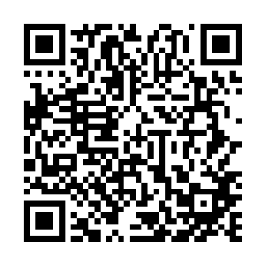 因为直到现在赵长枪自己也不知道罗伊国王是不是还活着二维码生成