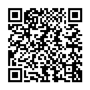 因为秦宇从坦克的面相上看出来他最近三个月会有一场生死劫二维码生成