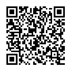 因为秦宇和月如熙的交谈并没有选择传音入密而不让他人倾听二维码生成