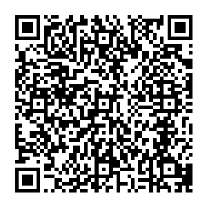 因为秦方刚才那一拳表现出来的可怕实力实在是比维拉高出了不是一两个层次的……维拉虽然是技术姓格斗高手二维码生成